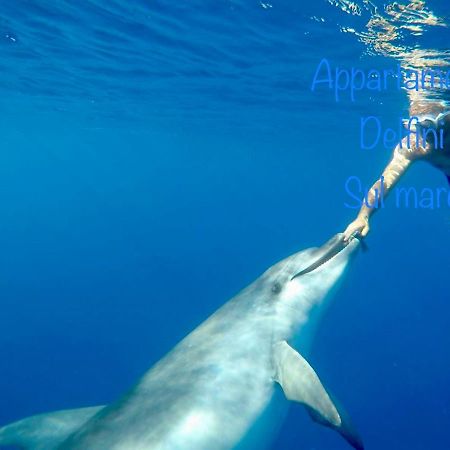 Appartamento delfini sul mare Golfo Aranci Esterno foto