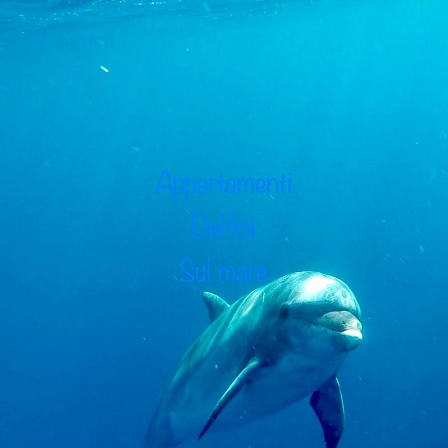 Appartamento delfini sul mare Golfo Aranci Esterno foto